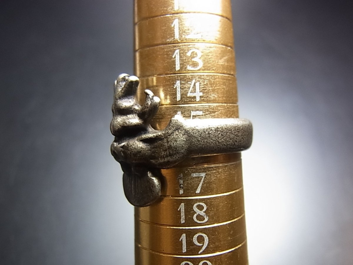 画像7: チベット・トクチャ(天鉄・Thogchags) 蔵銀製　霊鳥キュンのリング (7)