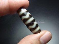 画像5: ジービーズ（dzi with wave motif)　チベット水紋天珠(波紋・馬歯)・チャムド (5)