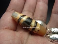 画像7: ジービーズ・チベット天珠　(Tibetan dzi beads)　七線珠(７ライン) (7)