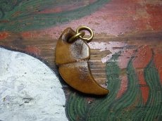 画像2: カパラの根付(tibetan old kapala )　チベット密教法具・牙型 (2)