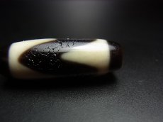 画像3: ジービーズ（dzi with wave motif)　チベット虎牙天珠(タッソー・馬歯)・チャムド (3)