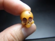 画像5: ヤク骨製　数珠天玉　チベタンスカル・ルンゴ　(tibetan skull )　チベット密教法具 (5)