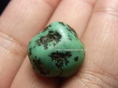 画像6: チベタン・アンティークターコイズ(yu)　（Old tibetan  turquoise） (6)