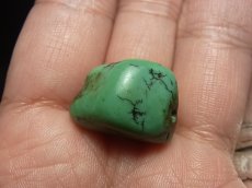 画像6: チベタン・アンティークターコイズ(yu)　（Old tibetan  turquoise） (6)