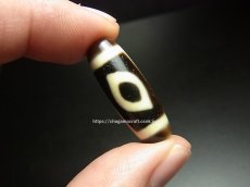 画像5: ジービーズ　(ブッダ２アイジー　dzi mig ni pa・buddha eye motif)　仏陀二眼天珠  (5)