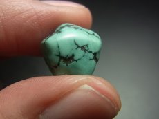 画像5: チベタン・アンティークターコイズ(yu)　（Old tibetan  turquoise） (5)