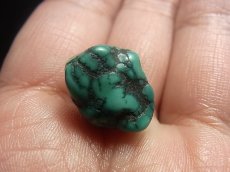 画像5: チベタン・アンティークターコイズ(yu)　（Old tibetan  turquoise） (5)