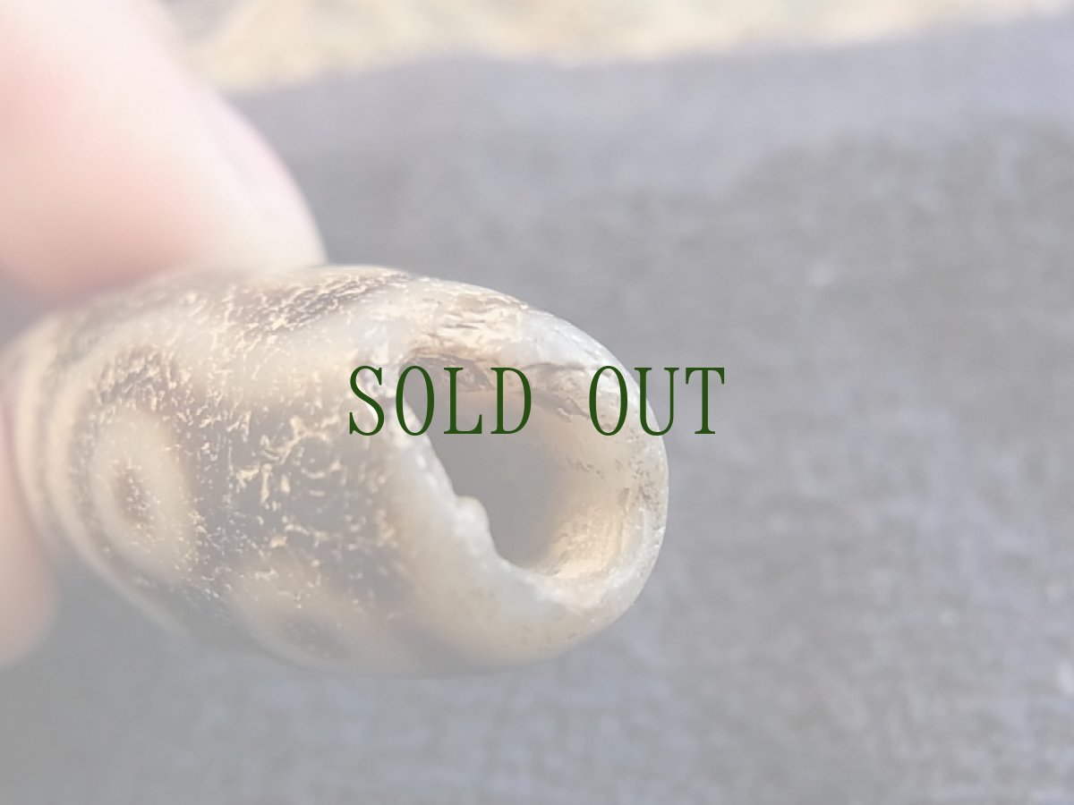 画像5: アンティークジービーズ（チベット天珠）　十一眼 (5)