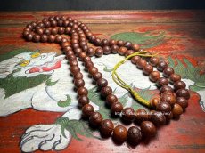 画像1: 鳳眼菩提樹のチベット念珠　(Tibetan  Buddha Chitta  Mala )　108珠・12mm　 (1)