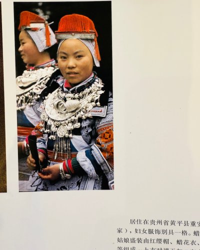 画像2: 革家苗族（Ge jia Miao/ガージアミャオ族）　マオカラージャケット・木綿・藍染・ろうけつ染め